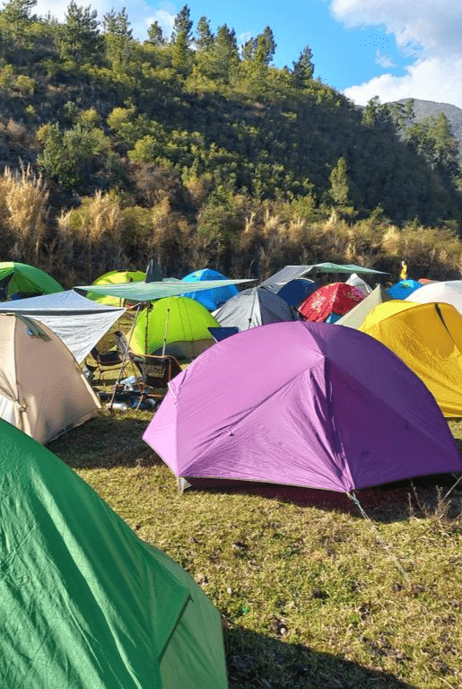 Casas de campaña tendidas en el pasto