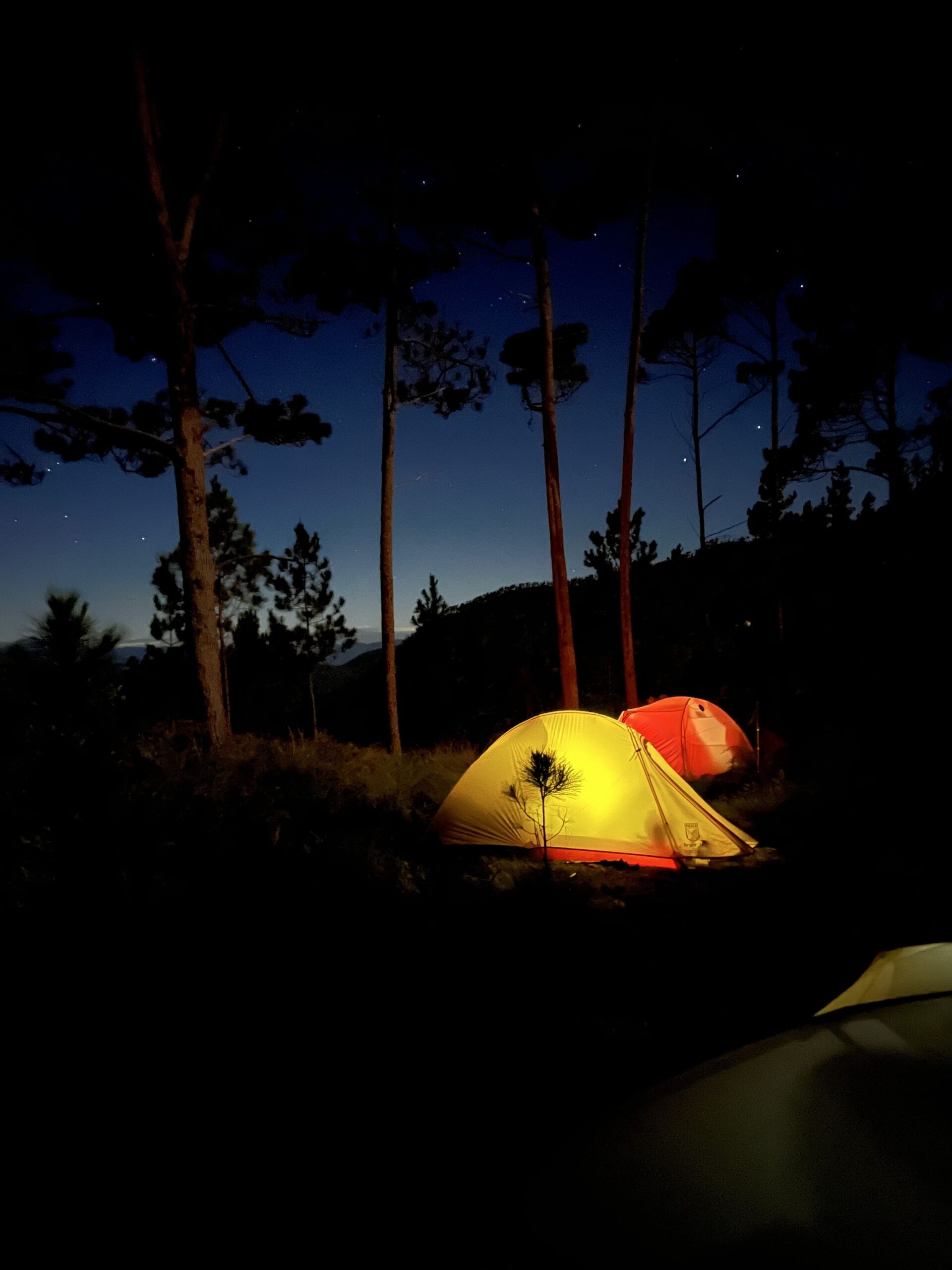 Tiendas de campaña iluminadas en un bosque bajo un cielo estrellado